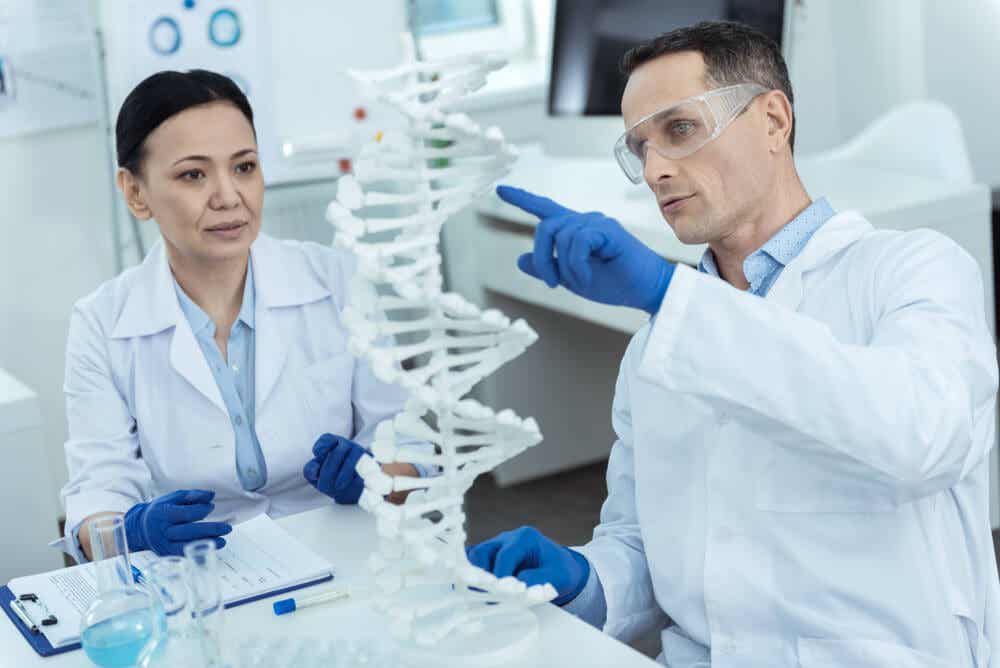 Forskere, der studerer DNA