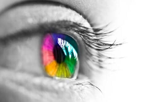 The Characteristics of Human Color Vision