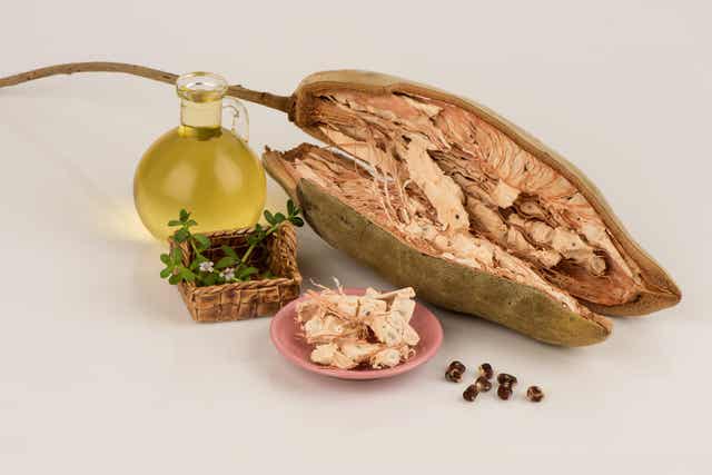 Baobab fruit and oil.