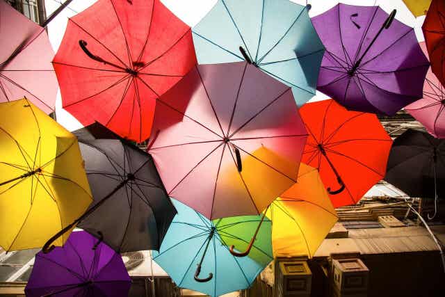 Ulike fargede paraplyer.