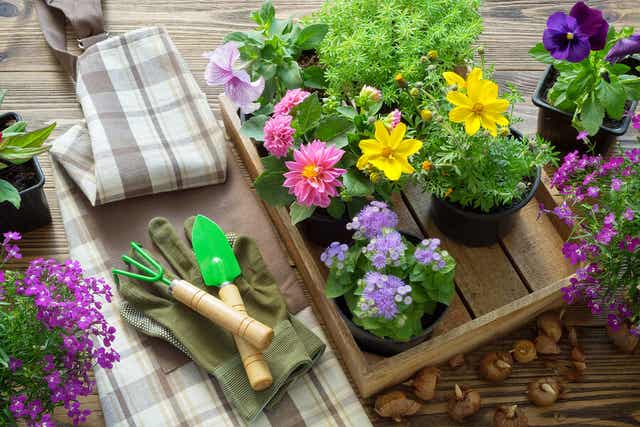 Haveredskaber ved siden af blomster
