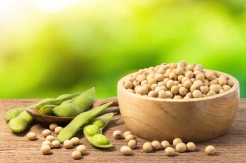 Mung Beans: Properties, Uses, and Benefits