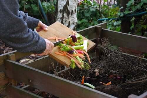 3 Common Mistakes when Making Homemade Compost