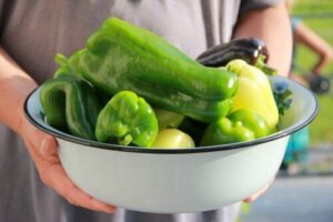 How to Plant Peppers At Home