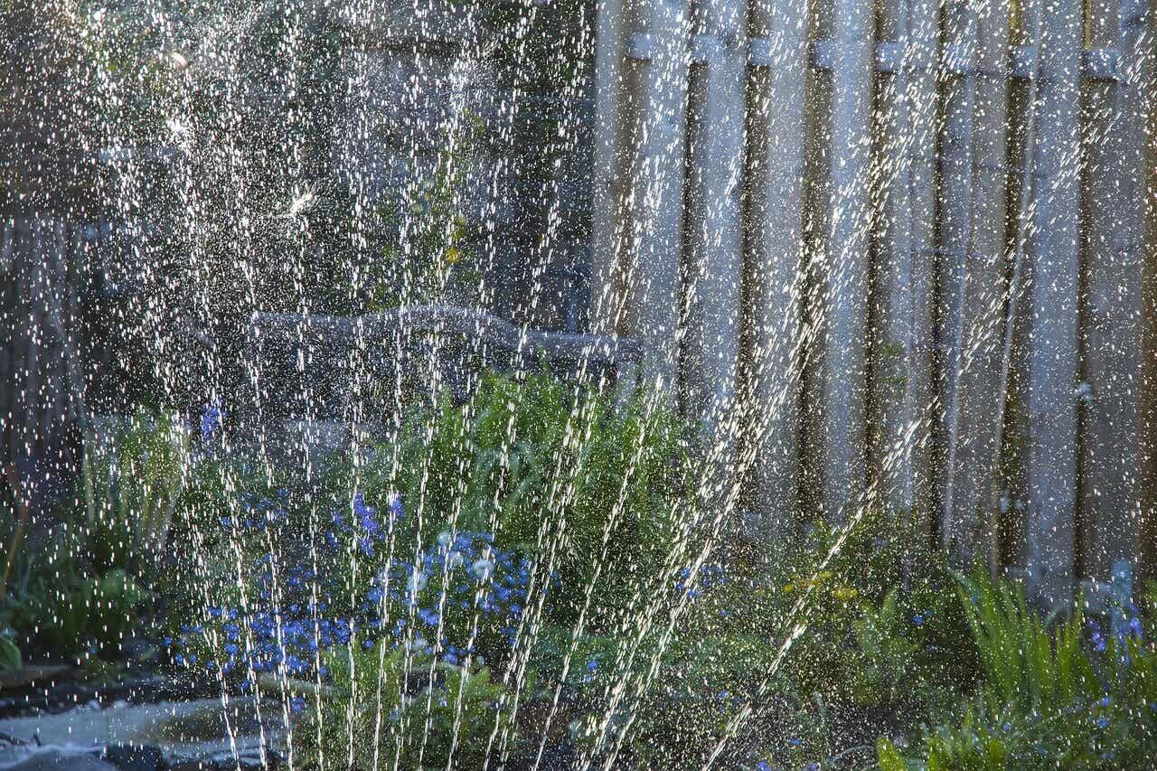 En sprinkler, der vander en græsplæne for at undgå at spilde vand