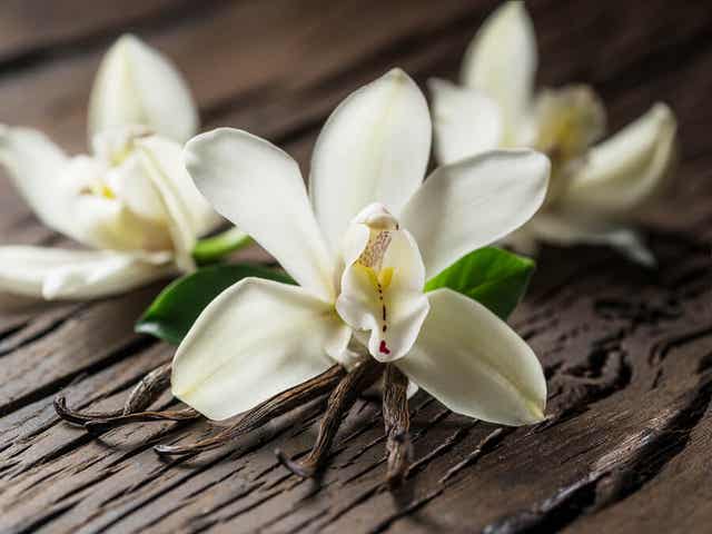 Vaniljestænger og blomster