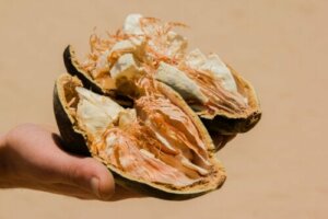Baobab Fruit: Characteristics, Benefits, and Contraindications