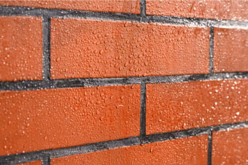 How to Protect Brick Walls From Mold