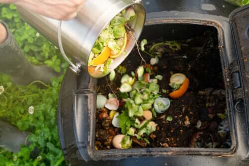 How to Make Your Own Compost at Home