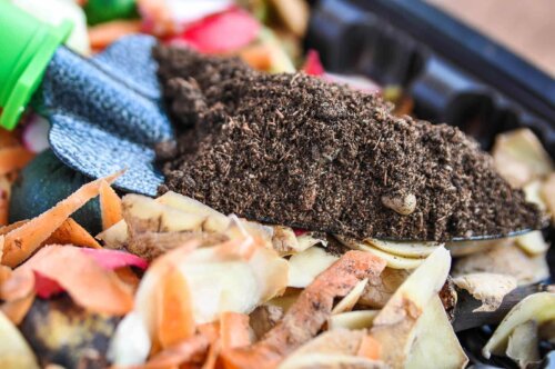 homemade compost fertilizer on a trowel