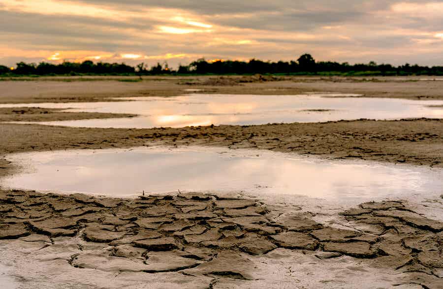 Virkningen af klimaændringer ses på land