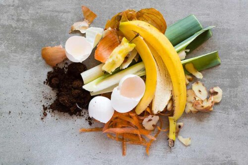 organic waste in a pile on the floor