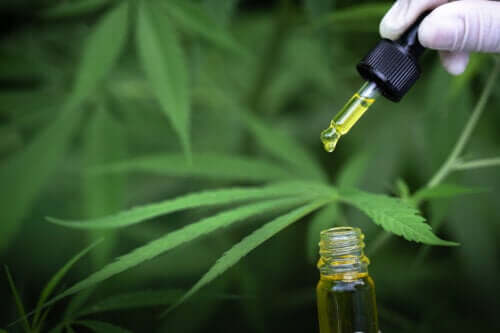 The Characteristics and Uses of CBD Oil