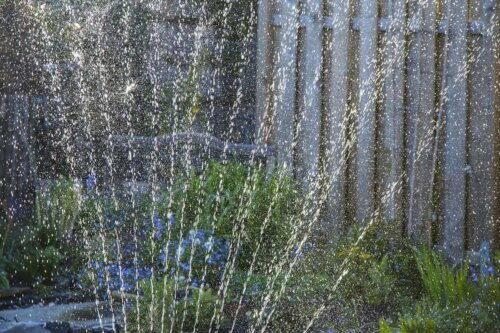 Bewässerungssysteme - Sprinkleranlage