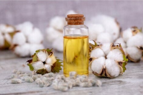 Cottonseed Oil: Uses, Benefits, and Risks