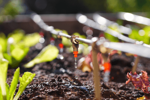 Characteristics of the Four Types of Irrigation Systems