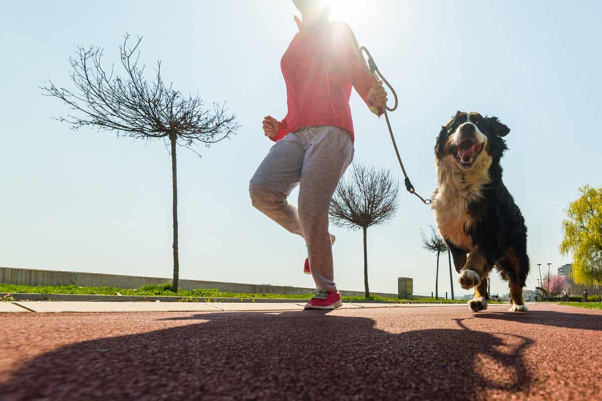 Kvinde dyrker simply run med sin hund