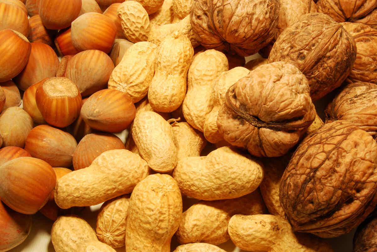 close up of nuts
