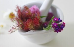 Four Ways to Make a Poultice