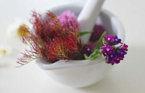Four Ways to Make a Poultice