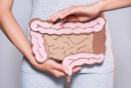 A person holding and intestine.