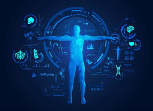 Bir insanın teknik çizimi.