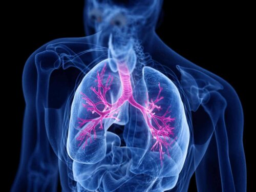 En røntgen av lunger.