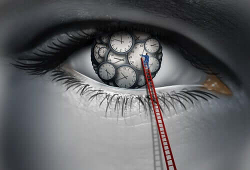 How Exactly Does the Biological Clock Work?