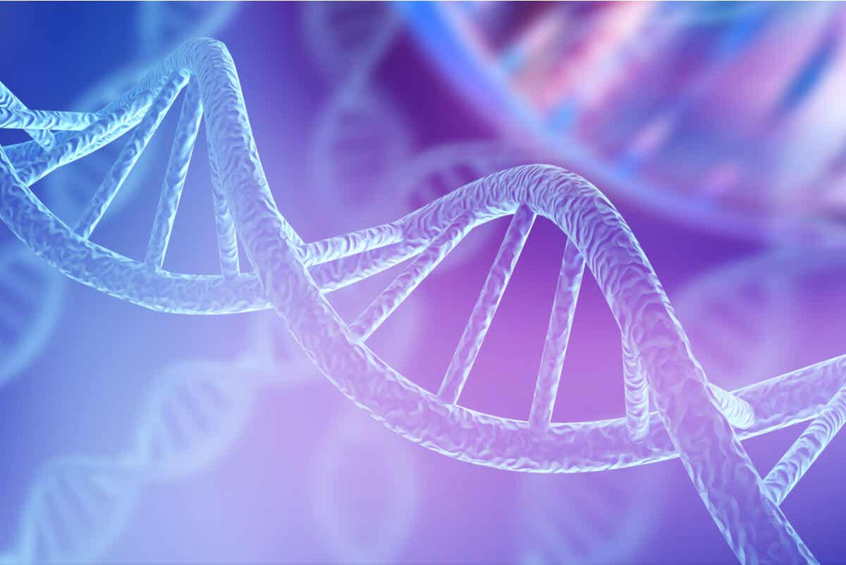 Rubinstein-Taybi Syndrom: ein DNA-Strang