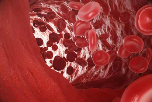 Røde blodceller.