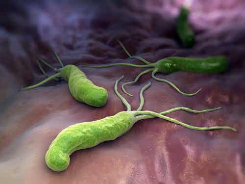 Grønne bakterier på huden.