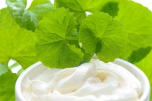 Cica Cream: What is it and what's it for?