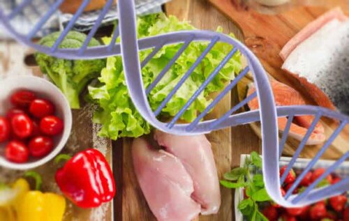 DNA foran fødevarer symboliserer ernæringsgenetik
