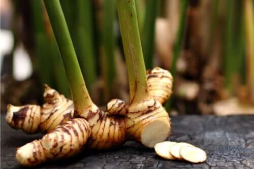 Galangal: Uses and Considerations