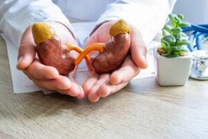 When Is it Necessary to See a Nephrologist?