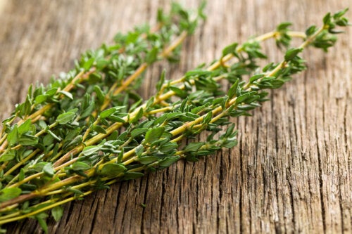 The Antiparasitic Properties of Thyme