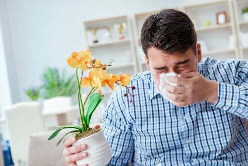 Hay Fever: 10 Remedies to Combat It