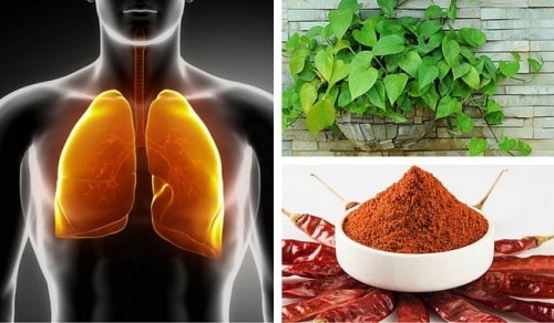 How To Do a Lung and Bronchial Cleanse