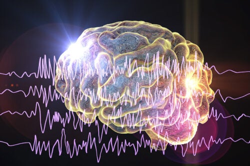 The 5 Types of Brain Waves