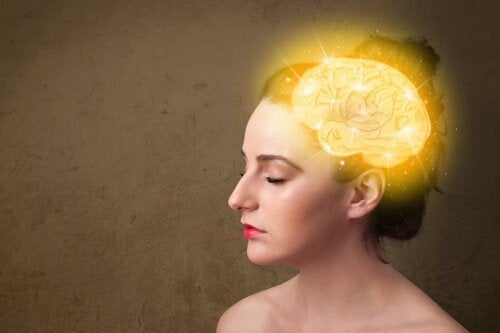 The Curiosities of the Female Brain