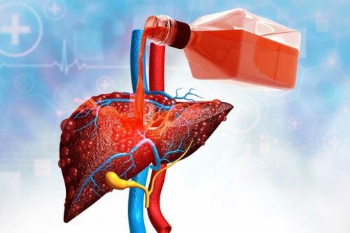 Home Remedies and Tips to Purify the Liver