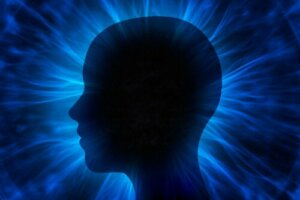 What Is the Quantum Mind?