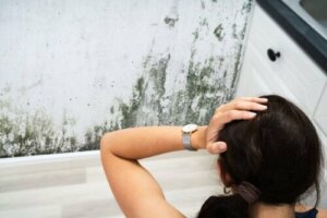 9 Mistakes That Cause Mold in Your Home