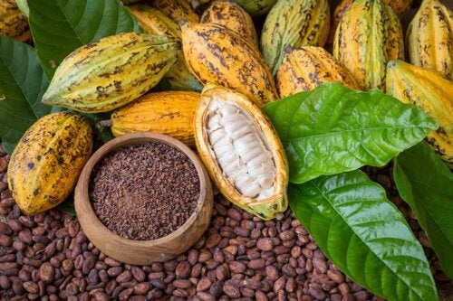 The Benefits of Cocoa for Health and Beauty