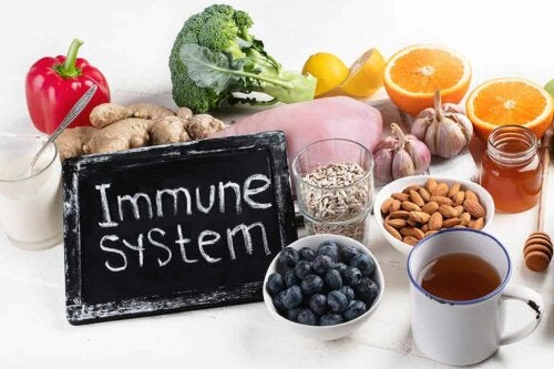 5 Foods that Help Your Immune System