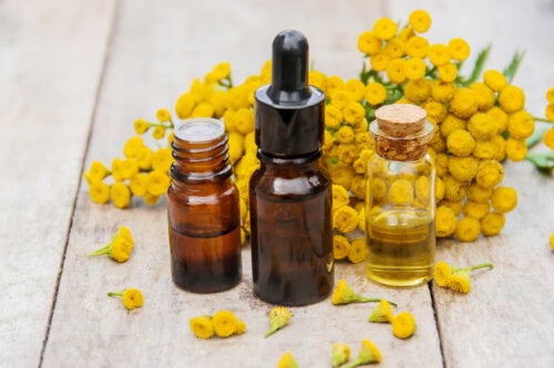 Blue Tansy Oil: Uses and Side Effects