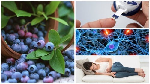 12 Surprising Benefits of Eating Blueberries