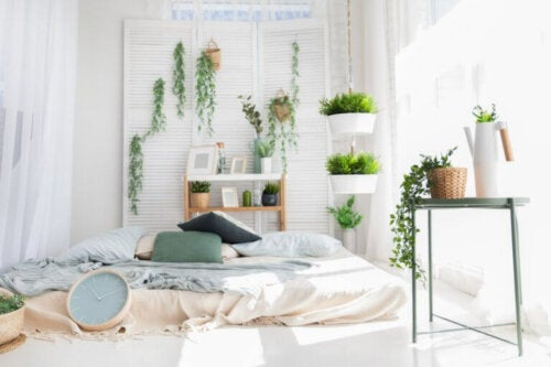 Sleeping with Plants in the Bedroom: Are They Stealing Our Oxygen?