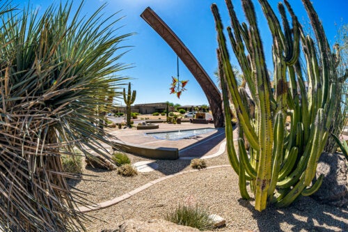 A Basic Guide to Making a Desert-Style Garden