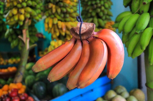 Red Bananas: What Are Their Benefits?